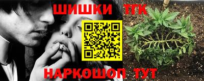 стаф Малоярославец