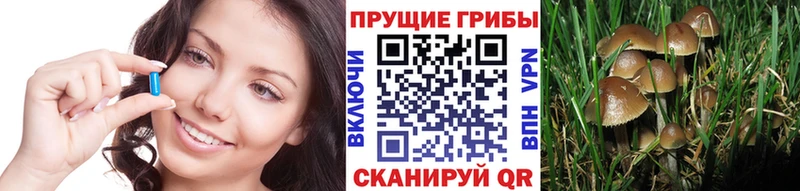 Псилоцибиновые грибы MAGIC MUSHROOMS  наркошоп  Партизанск 